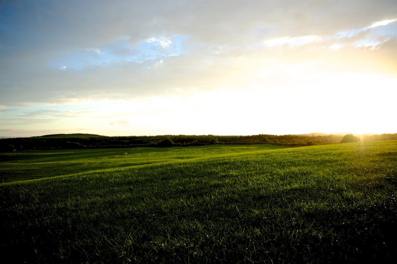 Meadows