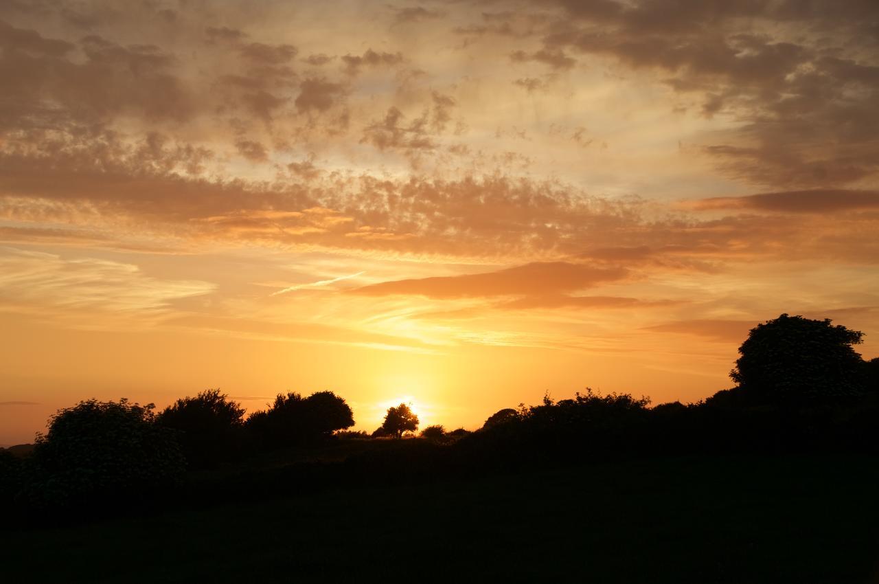 Meadows Bunratty